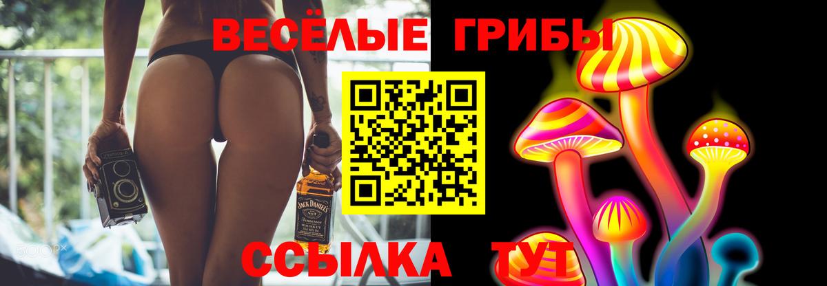 дарнет шоп  Галлюциногенные грибы Psilocybe  Вход с VPN  Кирово-Чепецк 